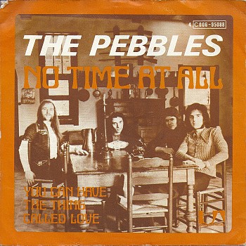 foto van the-pebbles