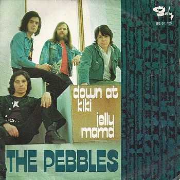 foto van the-pebbles