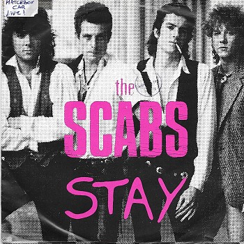 foto van the-scabs